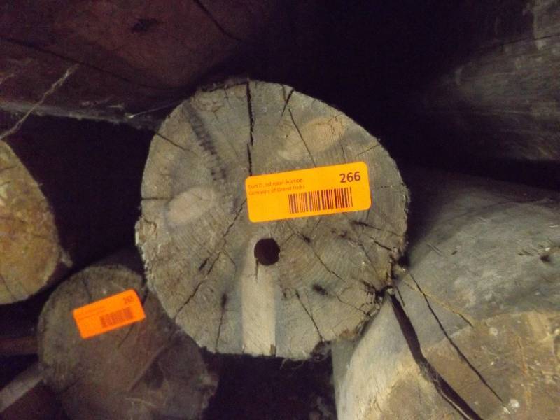 Wood Log