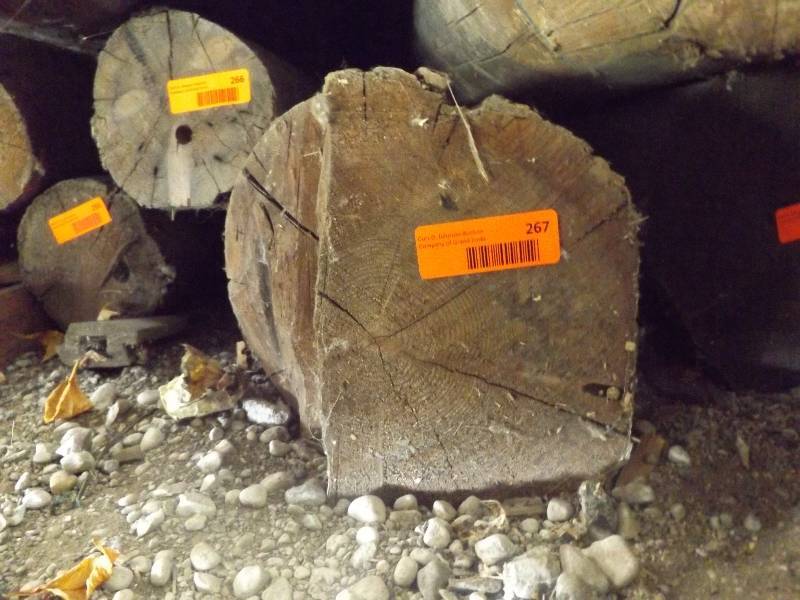 Wood Log