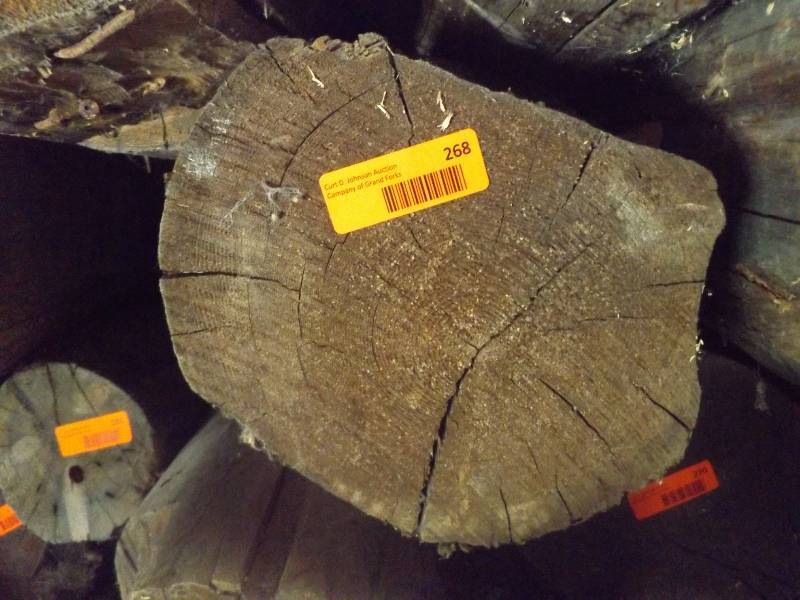 Wood Log