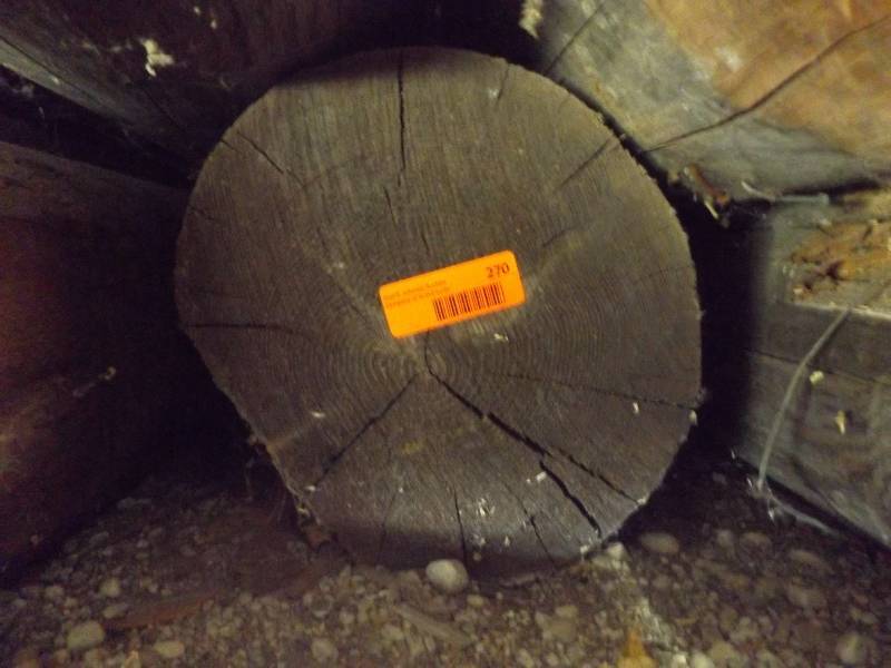 Wood Log