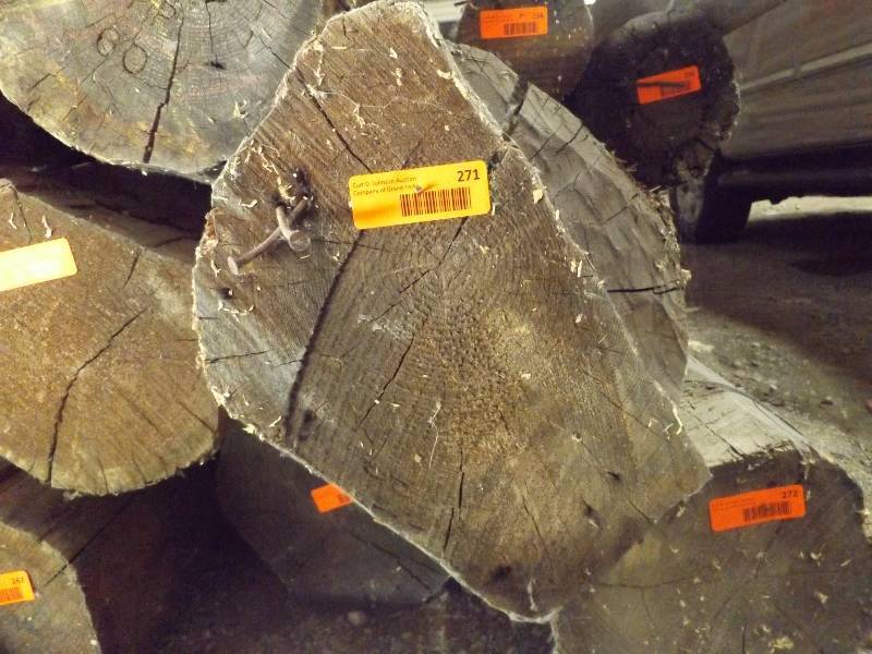 Wood Log