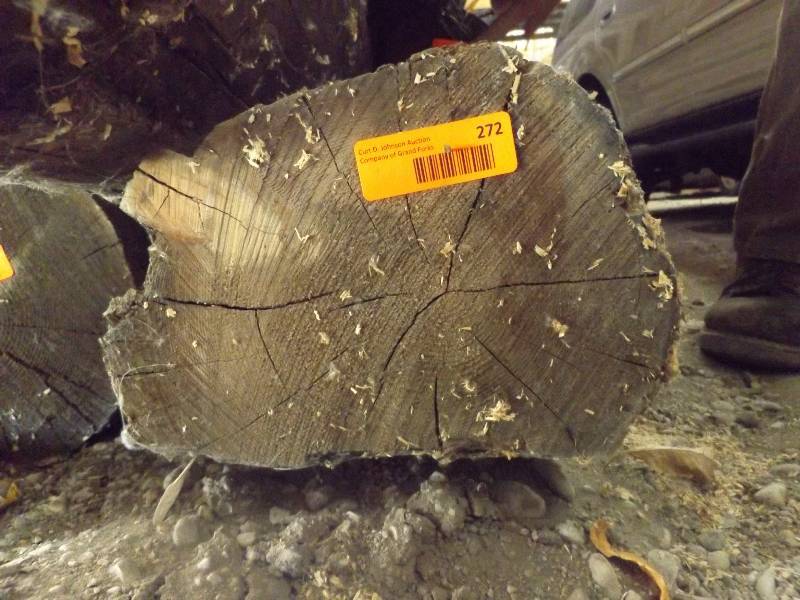 Wood Log
