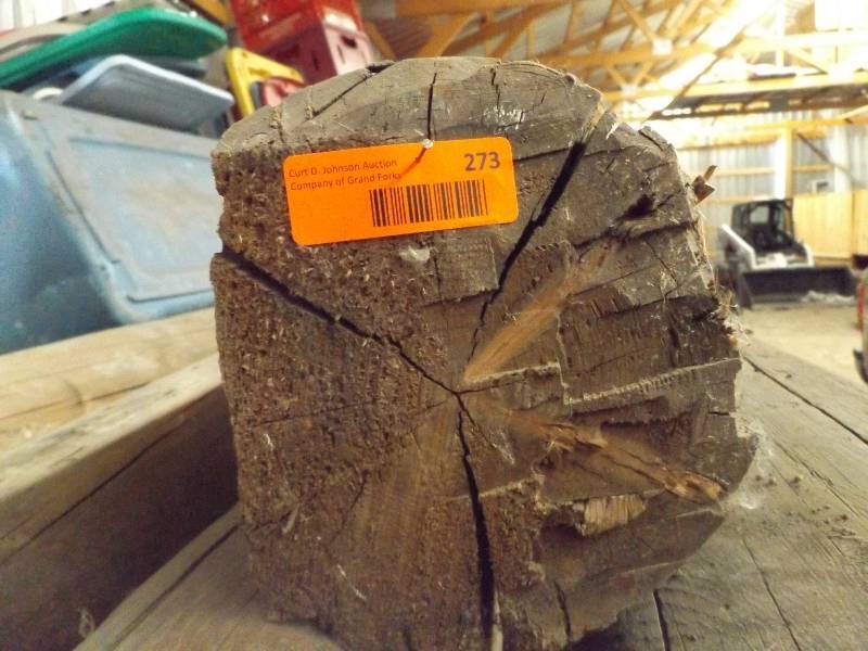 Wood Log