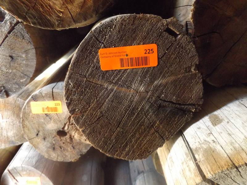 Wood Log