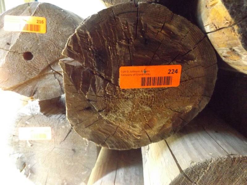 Wood Log