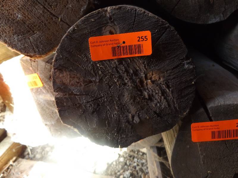 Wood Log