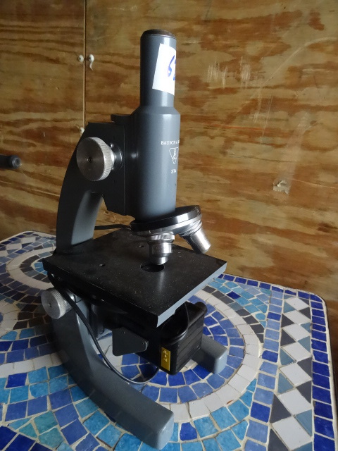 Microscope