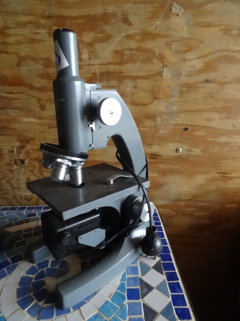 Bausch and Lomb microscope.