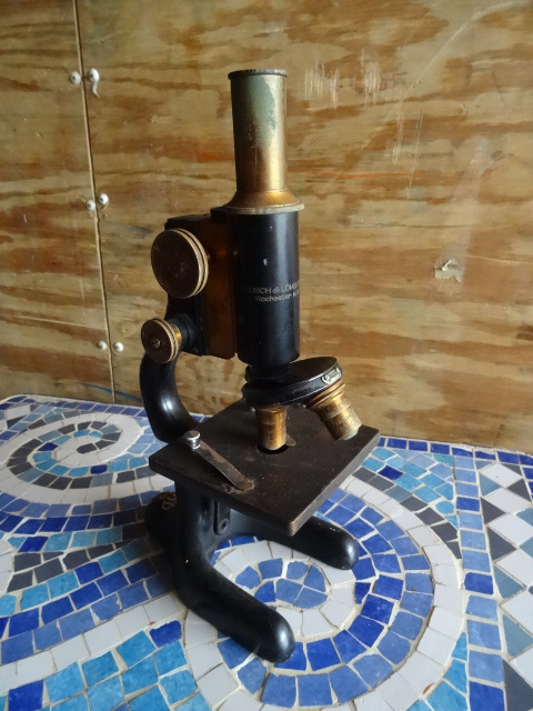 Microscope