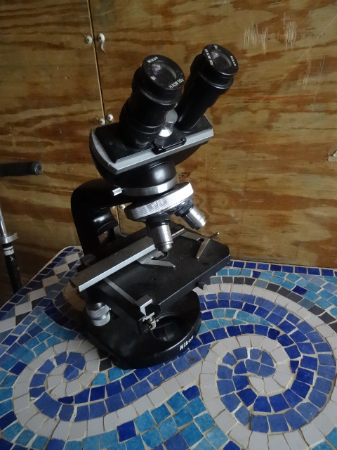 Microscope