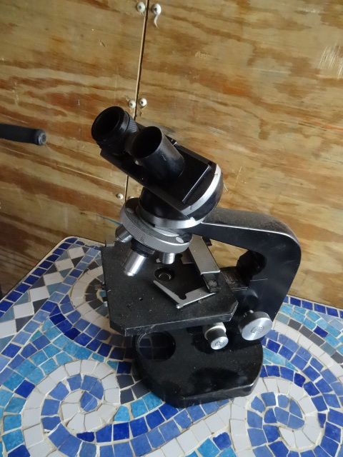 Microscope