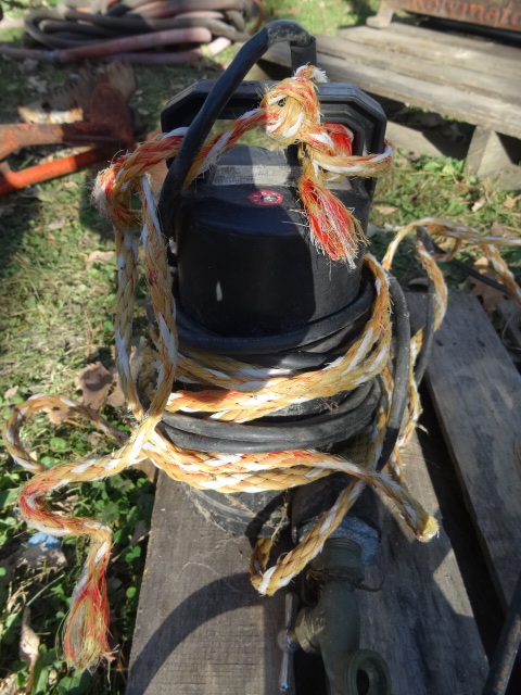 lot 19 image: Model PMO-600 Sump Pump