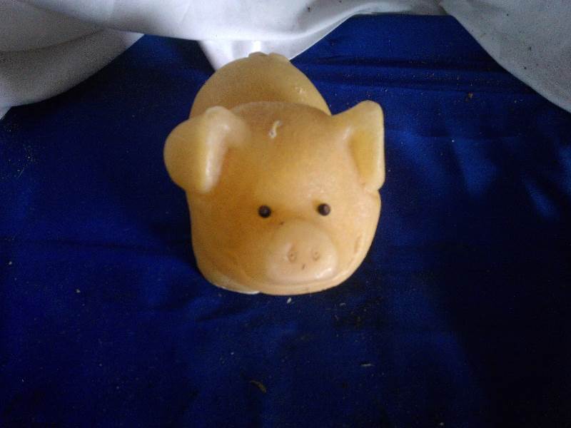 pig candle