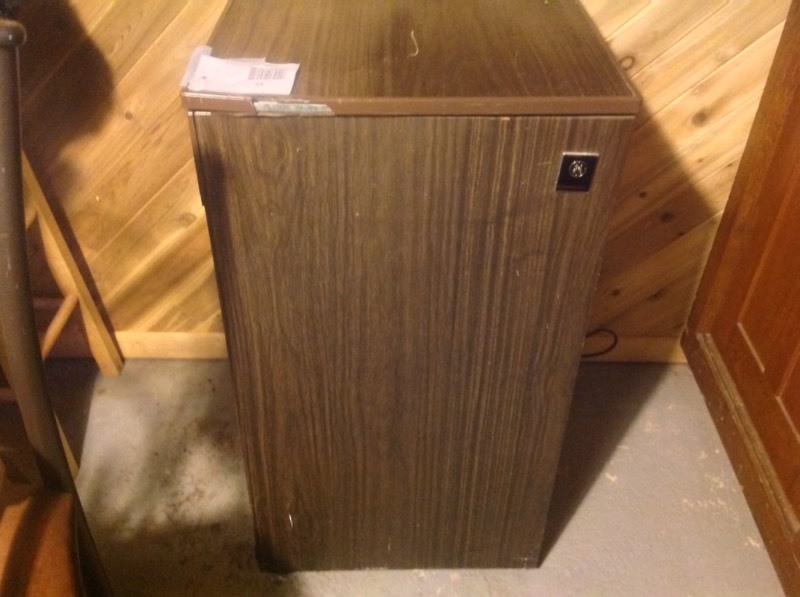 GE Mini Fridge