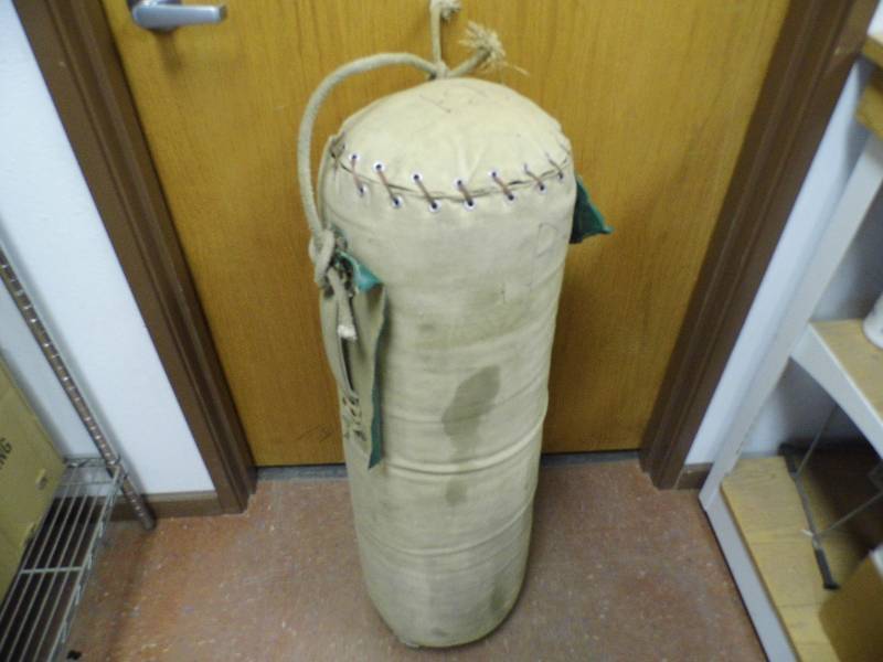 Punching Bag