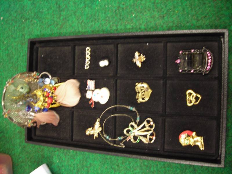 Lot Of Assorted Jewelry Pins & Earrings