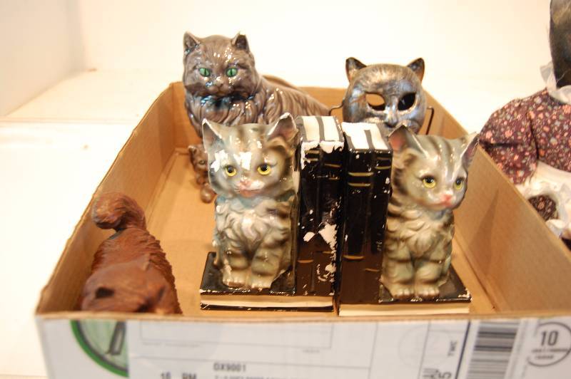 CATS