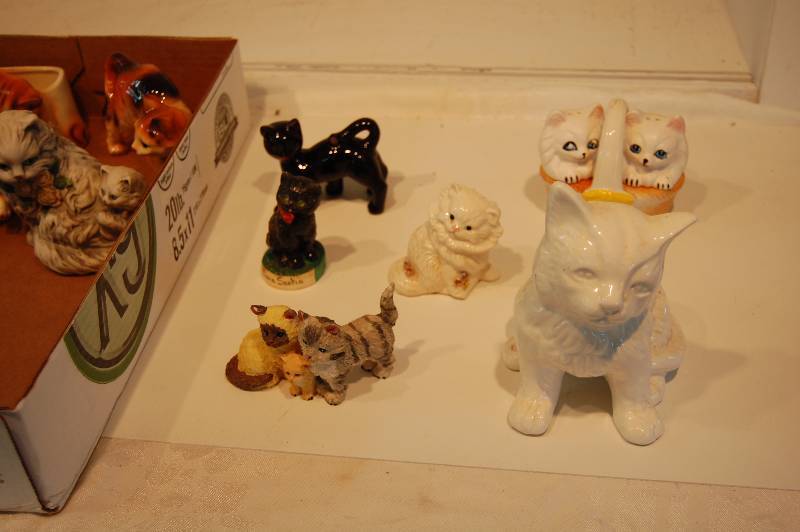 CATS CATS
