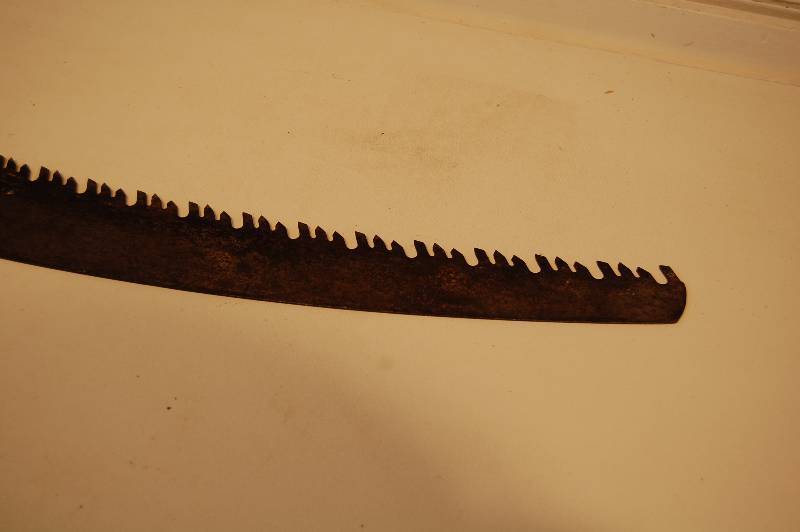 Limber Saw Blade