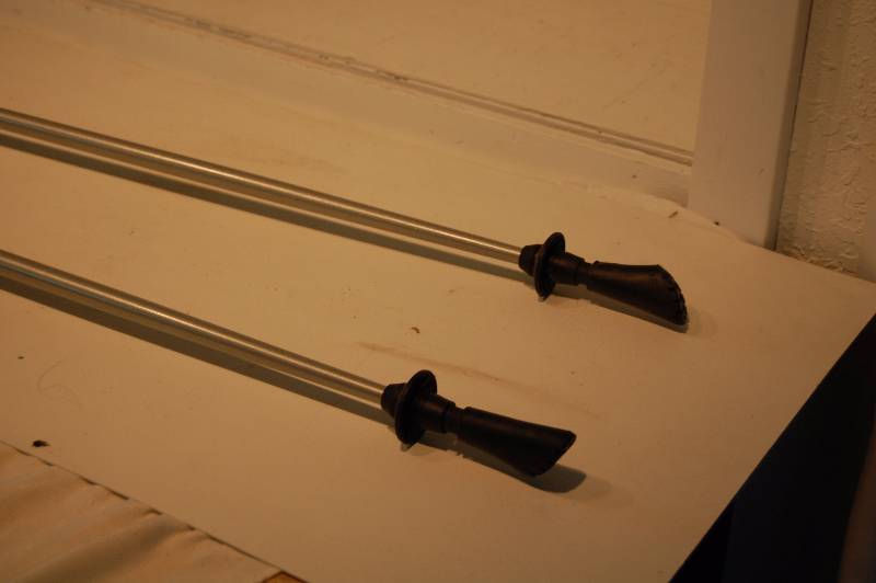 Walking Sticks