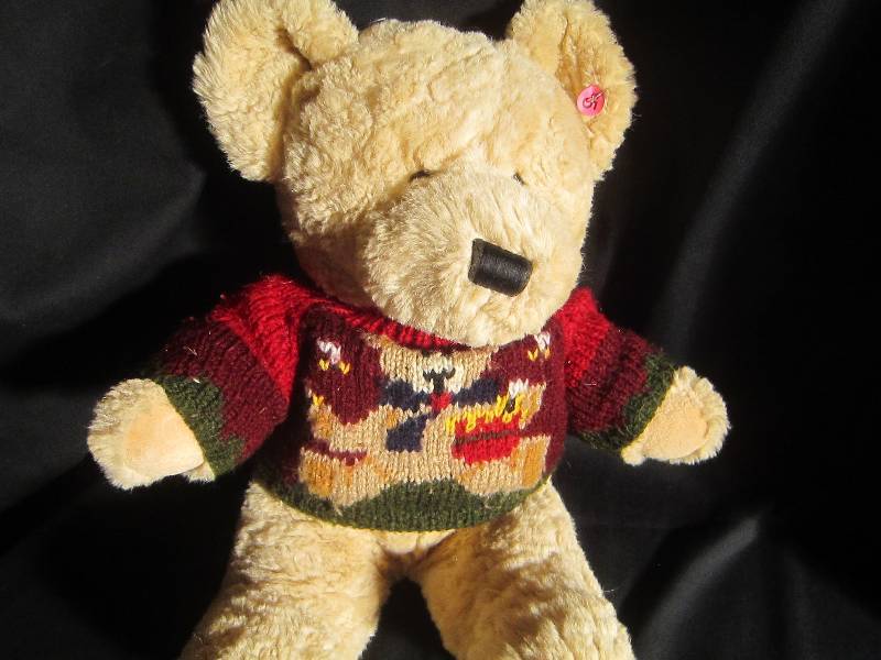 Large Teddy Bear in Sweater 18