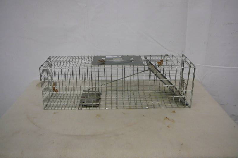 lot 5 image: Live Trap