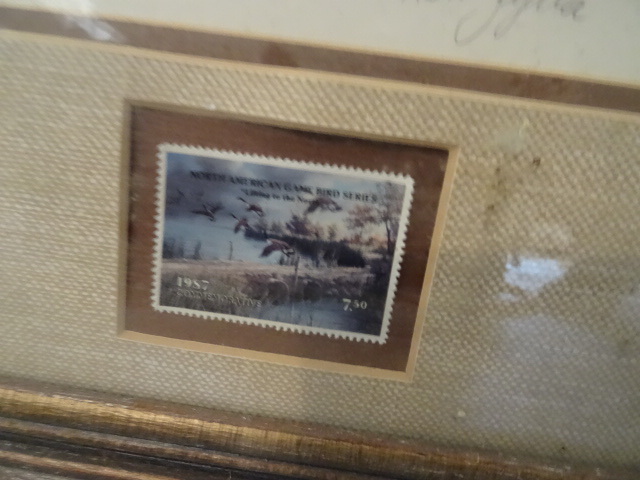Ken Zylla Framed Print  1987 Duck