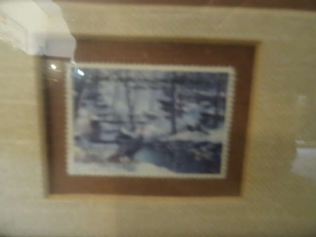 Ken Zylla Framed Print 1985 Duck